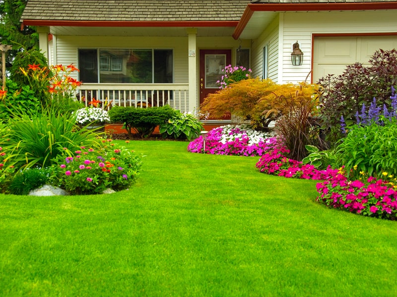 landscaped lawn in plainfield landscaped lawn in plainfield